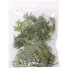 MUSGO VERDE NATURAL 10GR. APROX.