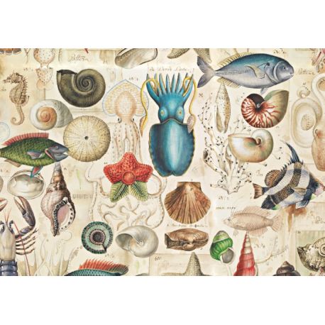 BOMOART PAPEL OCEAN LIFE 70X100CM 80GR.