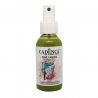 Kiwi oscuro - Spray Textil Cadence 100ml