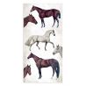 Collectables 10 hojas 15X30.5  (6"X12") 1 cara Romantic - Horses