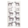 Collectables 10 hojas 15X30.5  (6"X12") 1 cara Romantic - Horses