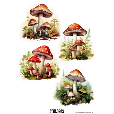 Forest Mushroom - Papel de arroz A4 - Sinlogos - La Tienda de las  Manualidades