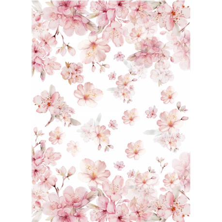 DECO TRANSFER A4 - Tiendita Shabby Chic