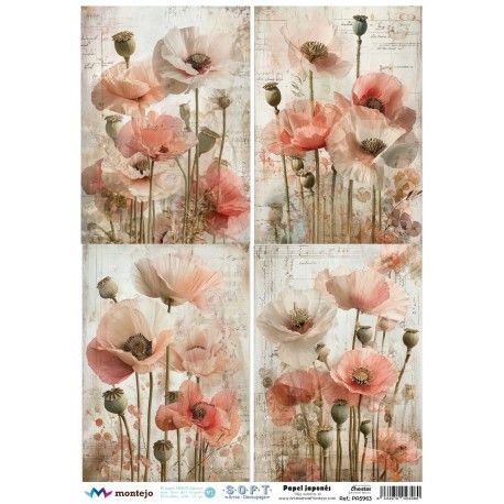 Papel de arroz Japonés SOFT A3