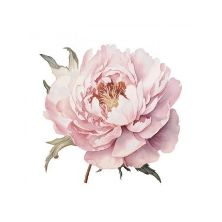 Transfer 25x30cm Precious Flowers III