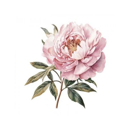 Transfer 25x30cm Precious Flowers II