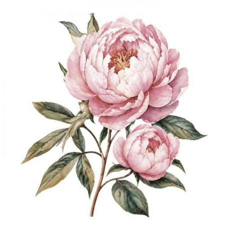 Transfer 25x30cm Precious Flowers I