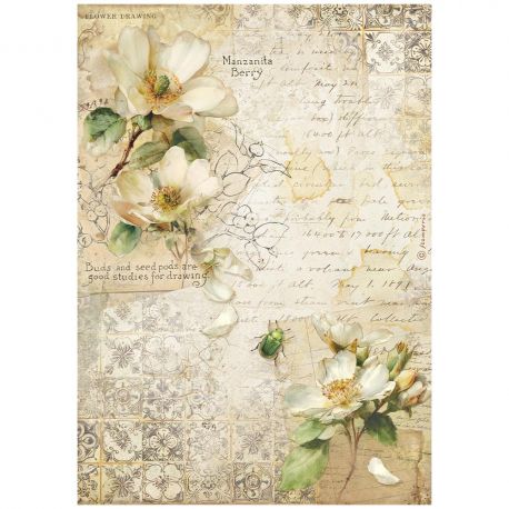 Papel de arroz DinA4 ALL AROUND