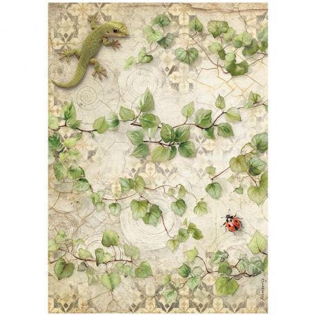 Papel de arroz DinA4 ALL AROUND