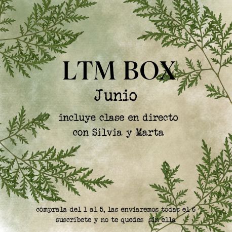 LTM BOX - JUNIO 2026