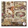 Set 12 papeles 8x8" Ciao Bella "CHOCOLATE WANDERLUST"