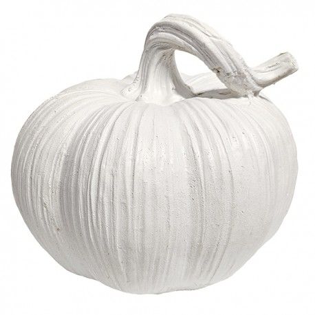 CALABAZA RALLADA CHATA 13x11