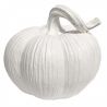 CALABAZA RALLADA CHATA 13x11