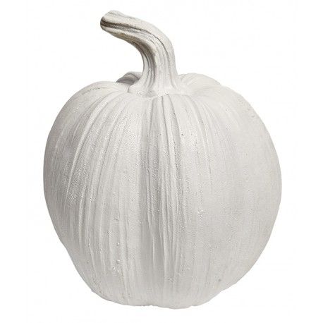 CALABAZA RALLADA 11x13