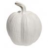 CALABAZA RALLADA 11x13