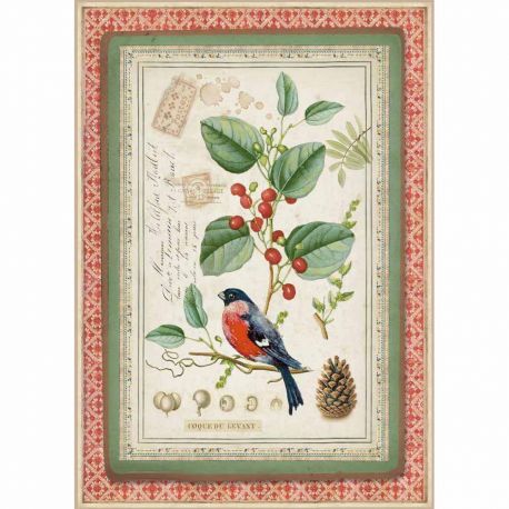 Papel de arroz DinA4 Winter Botanic little bird